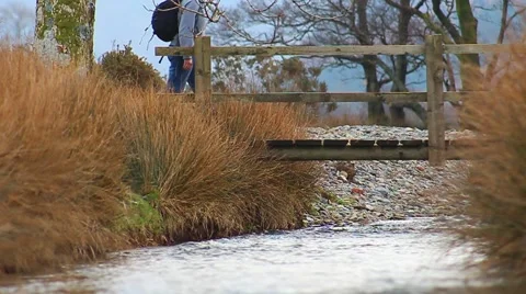 Walker Crossing Bridge Upstream Slow Motion English Countryside (720 50fps) Stock-Footage 40840030