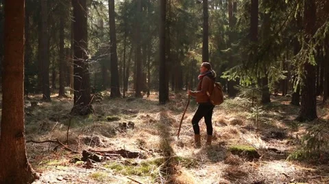 Walker in Dark Forest with sunny patches Stock Footage 48416622