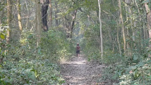 Walker Dirt Path Stock Footage 332581612
