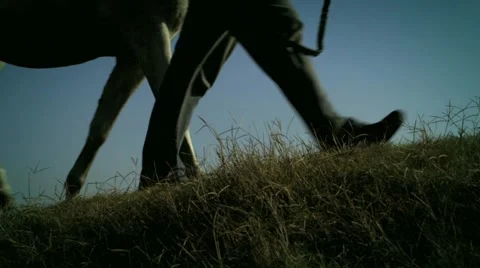 Walker Vídeos de archivo 1044404