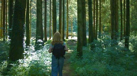 Walker in the forest Video stock 40427980