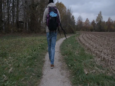 Walker in forest Stock Footage 83953895