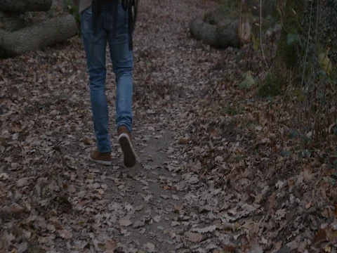 Walker in forest Stock Footage 83954037