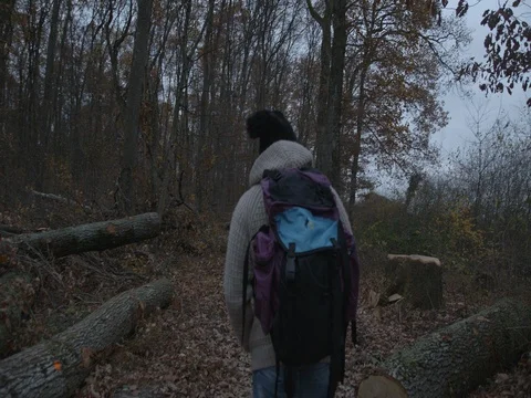 Walker in forest Stock Footage 83954187