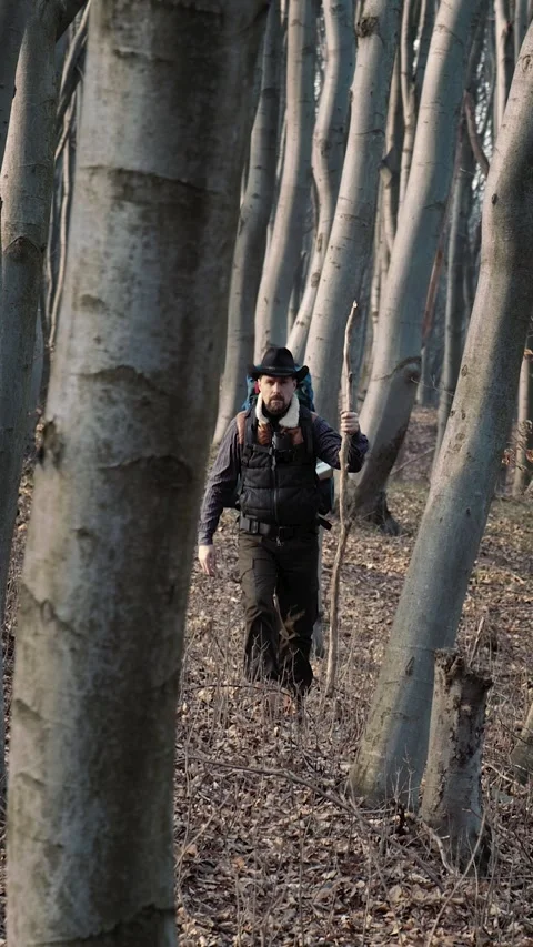 Walker in Forest Stock Footage 322791986