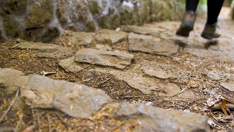 Walker / hiker / rambler passes down steps Stock Footage 80488351