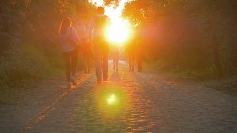 Walker path sunlight 動画素材 101650046