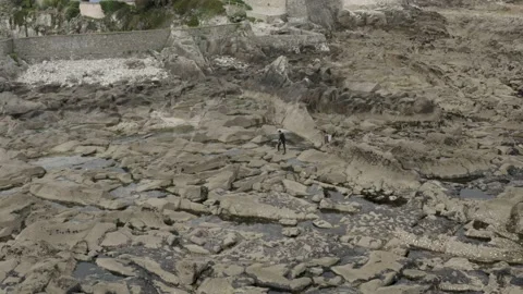Walker with a tree on his back Stock Footage 230619230
