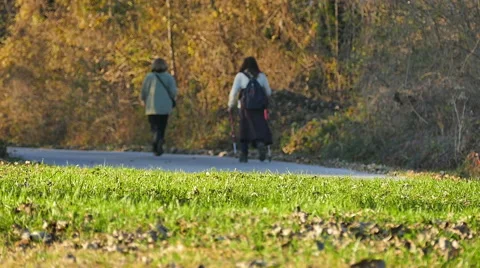 Walkers in the countryside Stock Footage 57858343