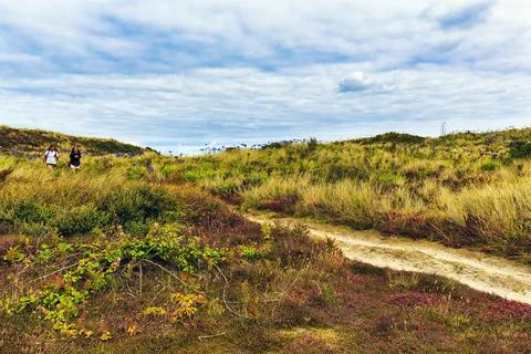 Walkers in dune landscape heath in bloom Isle of Tresco Isles of Scilly Stock Photos