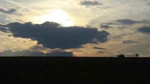 Walkers Silhouette Stock Footage 31295783
