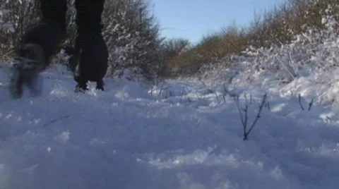 Walkers in the snow Stock Footage 495319