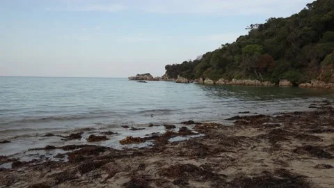 Walkerville waves Stock Footage 153905050