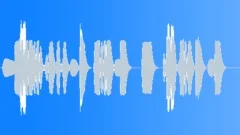 Walkie Talkie Beeping (3) Sound Effect