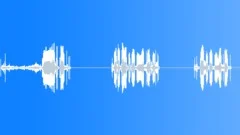WALKIE TALKIE Sound Effect