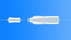 WALKIE TALKIESound Effect