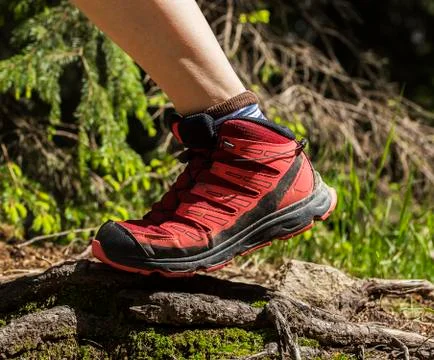 Walkin on a rough terrain Stock Photos