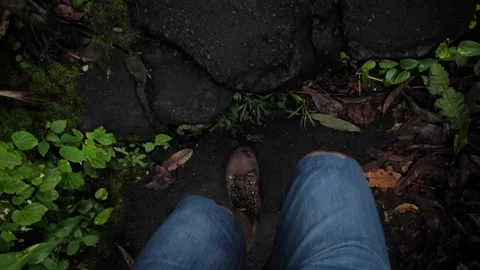 Walking 21 Stock Footage 155494753