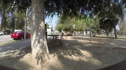 Walking 3 Dogs in the Park Stock Footage 54078262