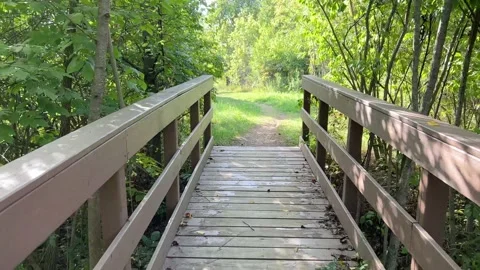 Walking Across Bridge 1 Stock Footage 206257741