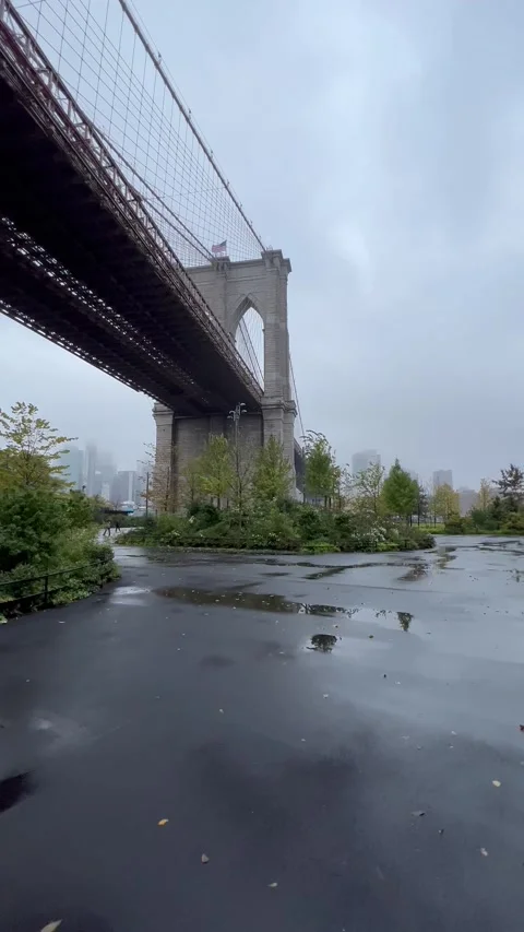 Walking Across Brooklyn Bridge Stock Footage 301961639