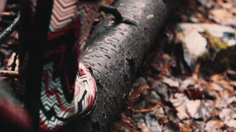 Walking Across a Fallen Tree Stock Footage 63223844