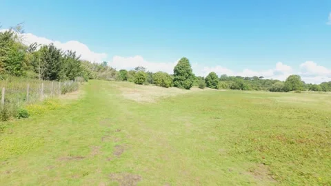 Walking across an open field framed with trees Stock Footage 337494325