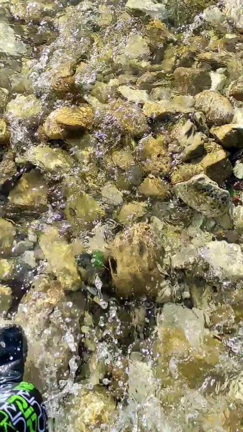Walking across the river at the rocks Video stock 226366612