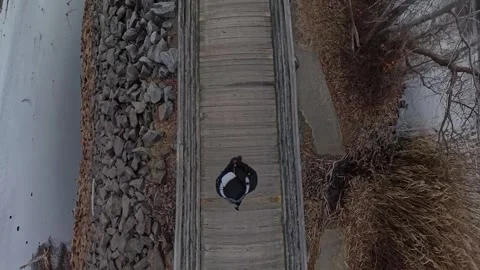 Walking across small bridge bird's eye view 動画素材 294886649