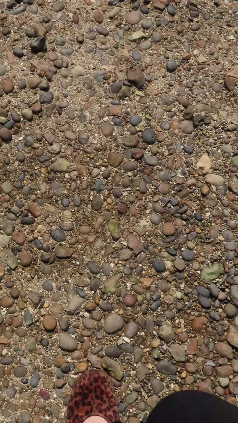 Walking Across Stony Beach in Leopard Print Shoes 4K Vertical Video 스톡 동영상 335543655