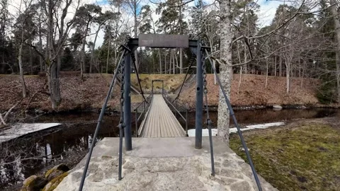 Walking across a suspension bridge in a forest park, stabilized POV shot Stock Footage 337556848