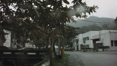 Walking action movement view of paved street with hill mountain tropical vegetat Stock Footage 236239842