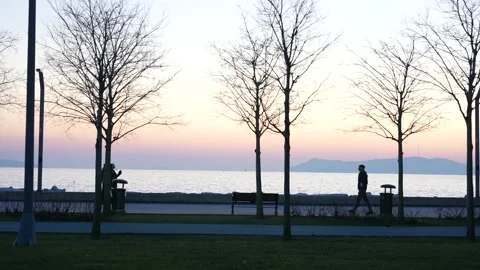 Walking after the setting sun Stock Footage 170067073