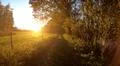 Walking against deep sun in golden forest farmland landscape GER Photo