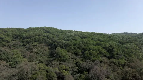 Walking in the air， Stock-Footage 151427160