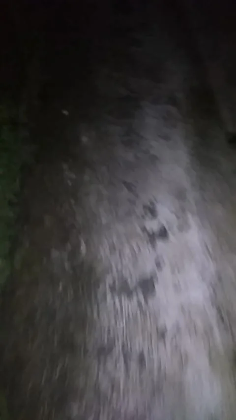 Walking alone in the dark 動画素材 220913880