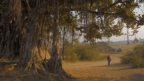 Walking Alone Stock Footage 194995660