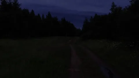 Walking alone Stock Footage 316946630