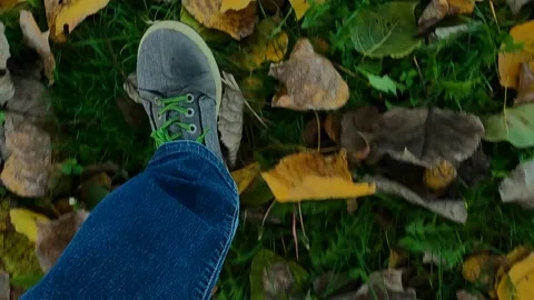 Walking alone in the forest Stock Footage 222831594