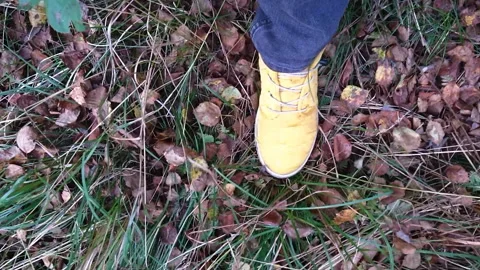 Walking alone in october forrest, legs POV shot on nature carefully steps Stock Footage 293511586