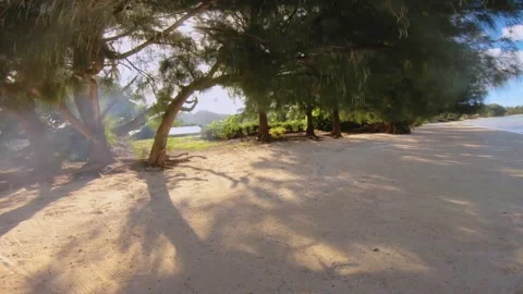 Walking along beach sandy side look out to backyard residential neighborhood wit Stock Footage 253461650