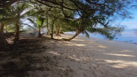Walking along beach sandy side look out to backyard residential neighborhood wit Stock Footage 253461924