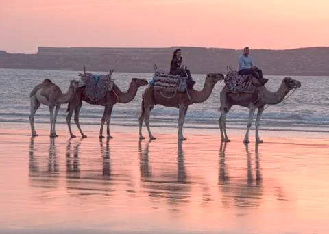 Walking along the beach at Sunset Stock Photos