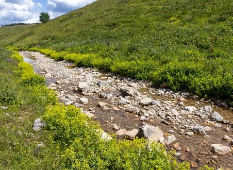 Walking along the bed of a mountain river in a natural park, during the flowe Stock Photos