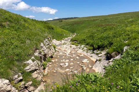 Walking along the bed of a mountain river in a natural park, during the flowe Stock Photos