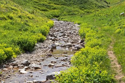 Walking along the bed of a mountain river in a natural park, during the flowe Stock Photos