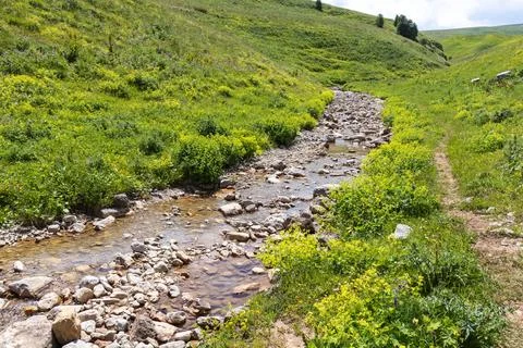 Walking along the bed of a mountain river in a natural park, during the flowe Stock Photos
