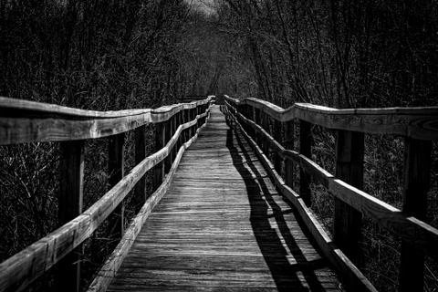 Walking Along the Boardwalk Stock Photos