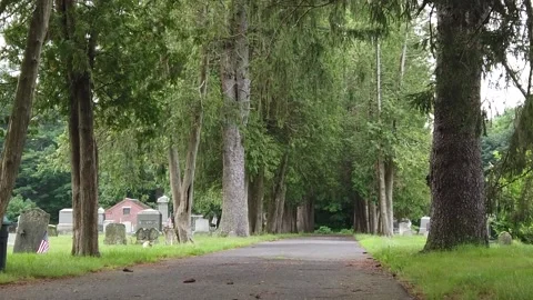 Walking Along Cemetery Path Tilting Up into Trees Stock Footage