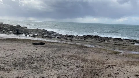 Walking along the cliffs on the Oregon Coast Video stock 329449136